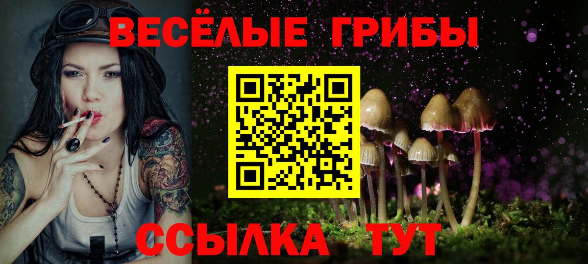Псилоцибиновые грибы ЛСД Сарапул
