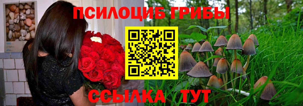 Псилоцибиновые грибы Psilocybine cubensis  Вход с VPN  Сарапул 